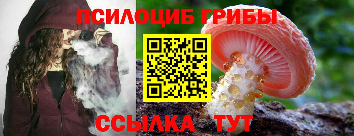 Муравленко  Псилоцибиновые грибы мицелий  дарнет шоп  Вход с VPN 
